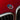 bmw 50th anniversary carbon fiber emblem installed close up view